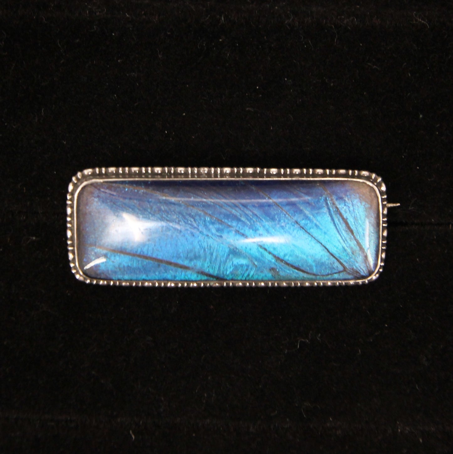 Antique Art Deco Hallmarked Solid Sterling Silver Blue Morpho Butterfly Wing Brooch Pin